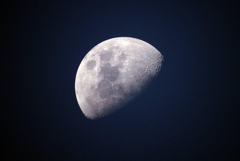 Lunar Delights